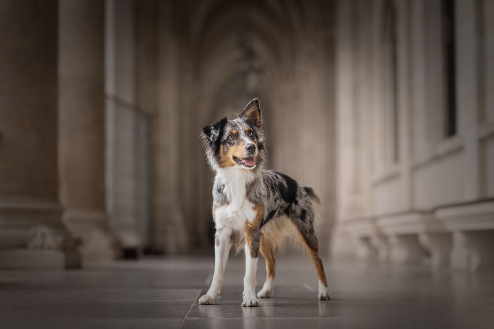 Photograph by Daniela Schmid