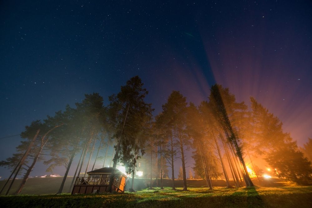 Photograph by Киселев Анатолий