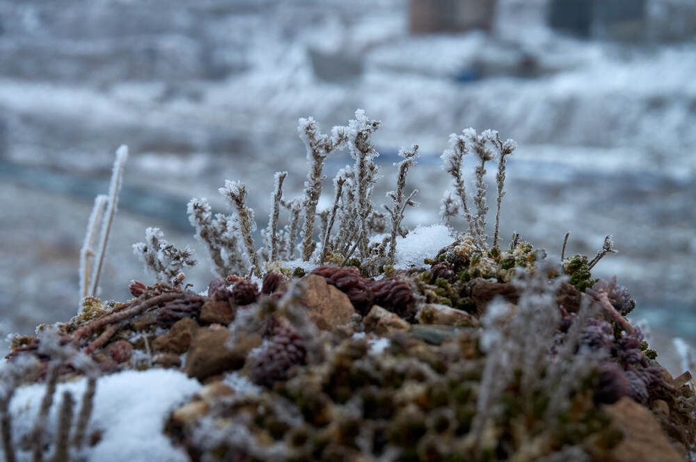 Фотография автора Dana Korolkova