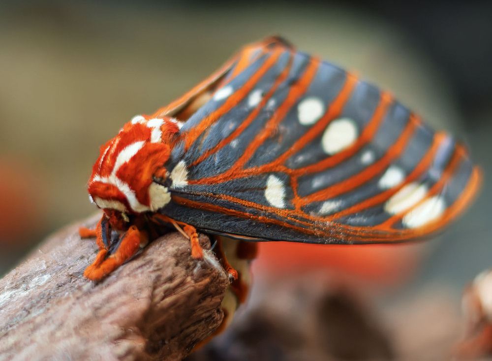 Photograph by wendy vanhoudt