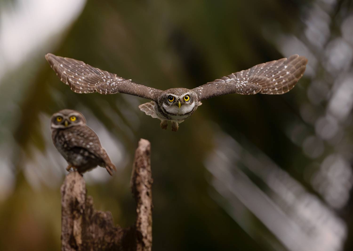 Фотография #11997051