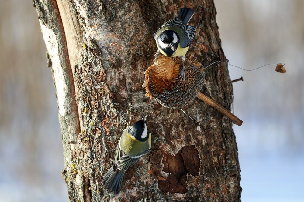 Photograph by Андрей