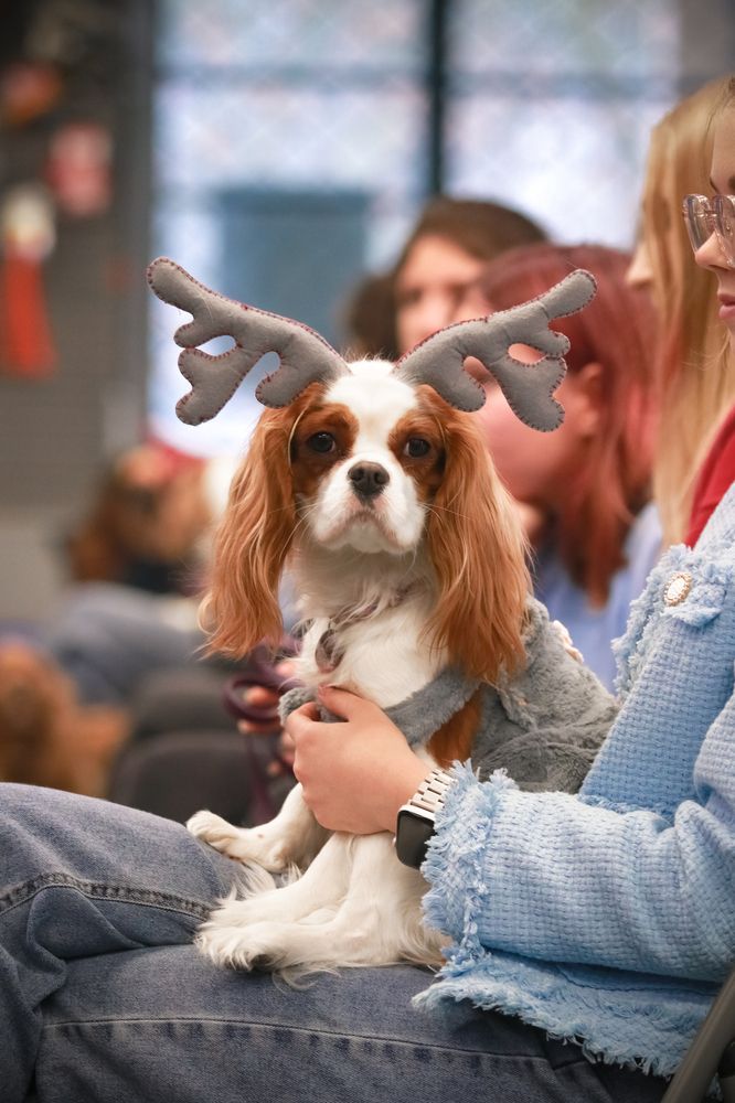 Photograph by Марина Миклашевич