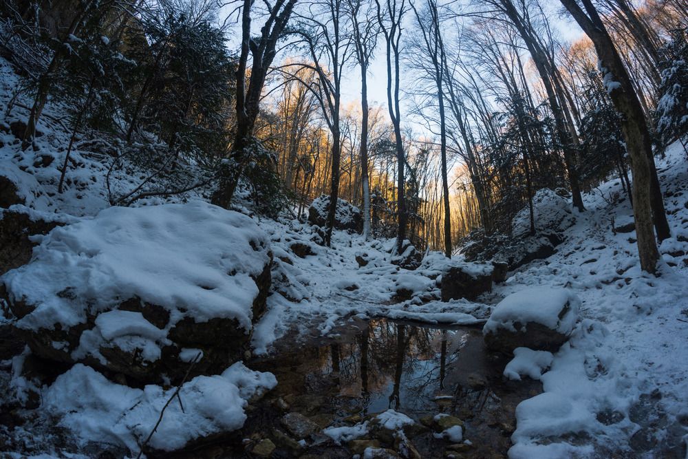 Photograph by Котенко Вадим