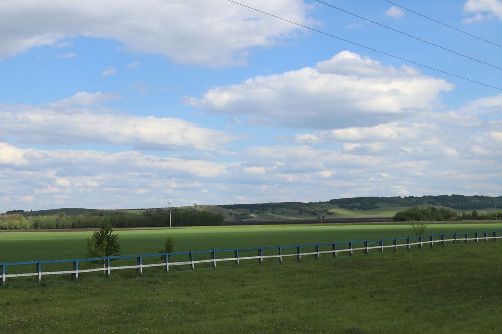 Фотография автора Tatiana Svistulina