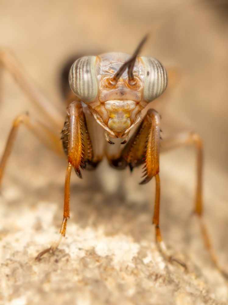 Photograph by Jose Martin Ceja Medina