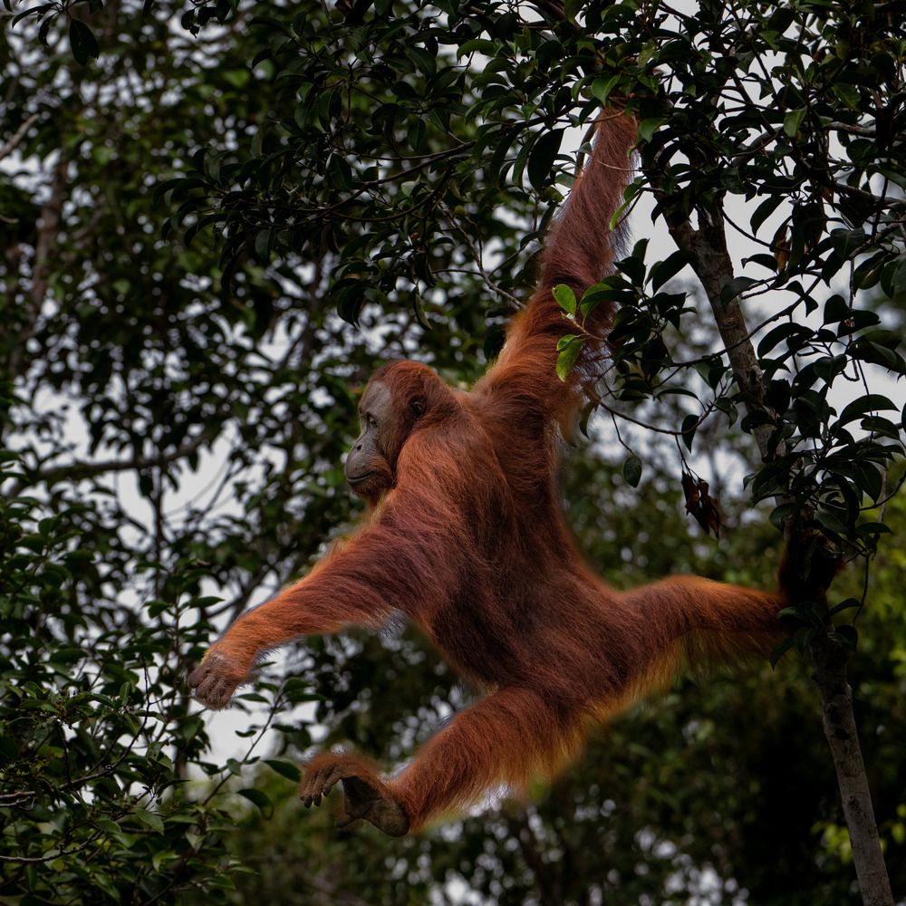 Фотография автора Suneer Mohamed