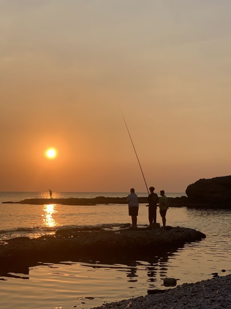 Photograph by Kate Abi Faraj