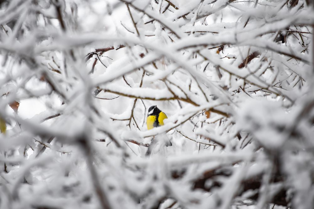 Фотография автора Александр Булавко