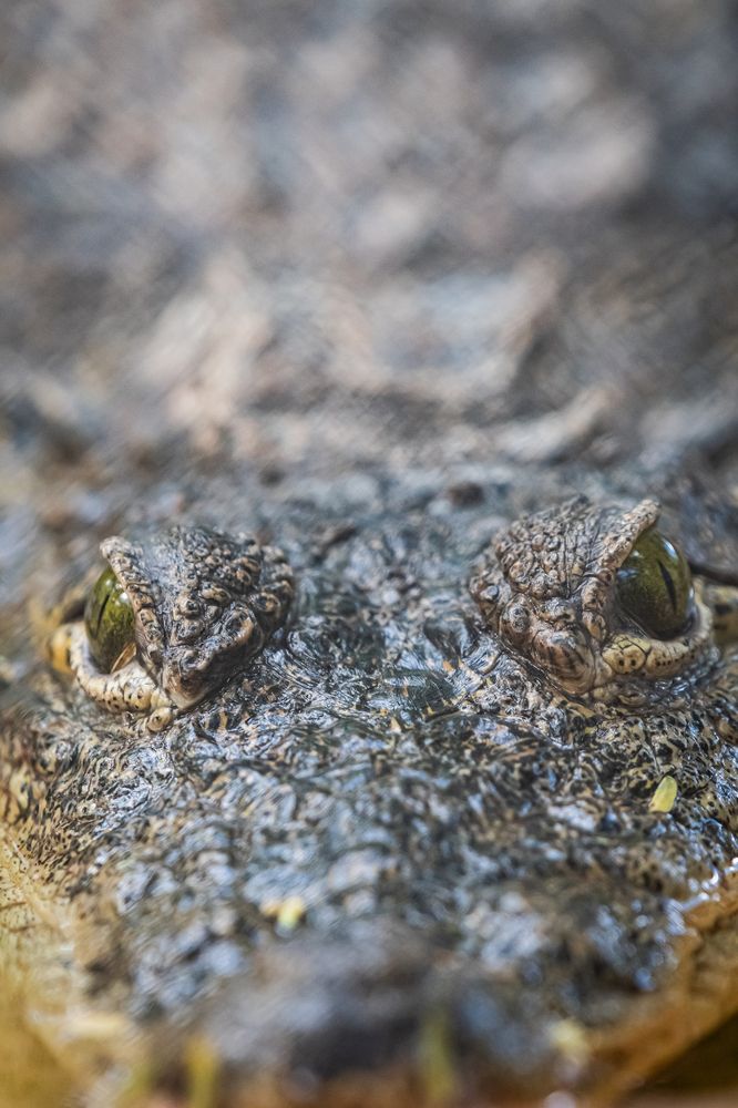 Фотография автора Claudia Luna