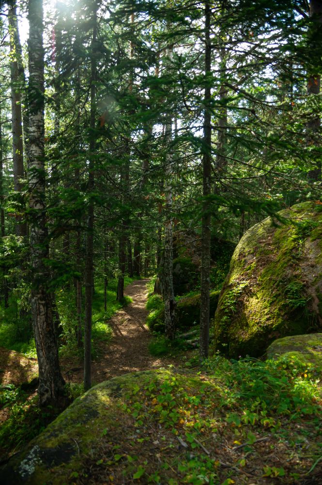 Photograph by Елизавета Корнилова