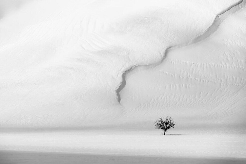 Photograph by Tayeb Ahmadi