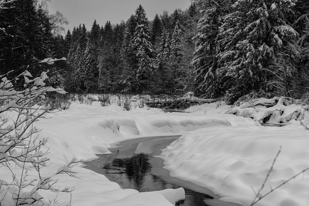 Photograph by Беликов Михаил