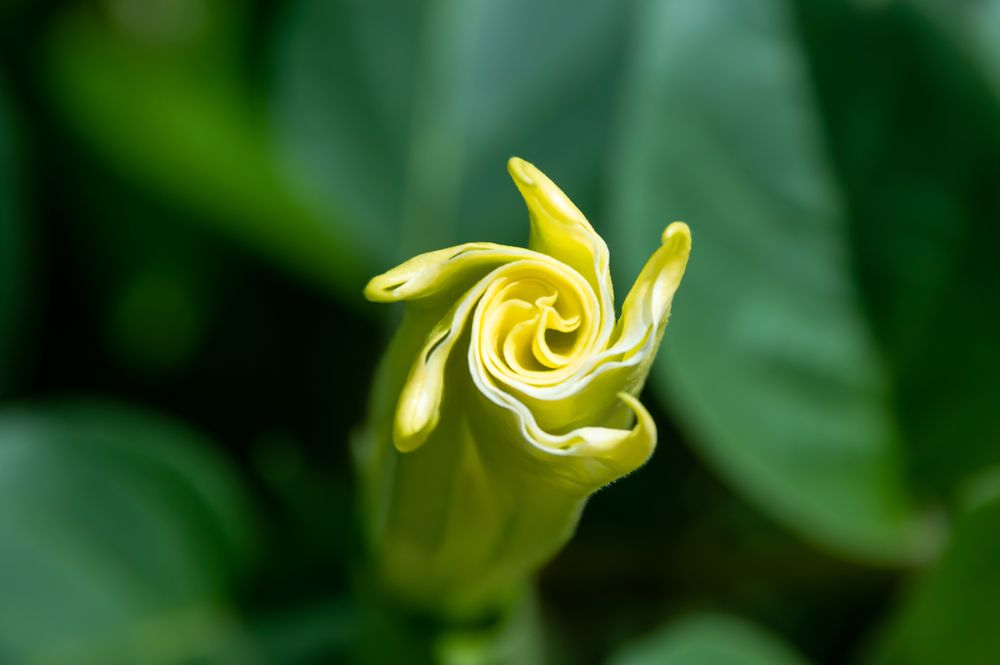 Photograph by Елизавета Корнилова
