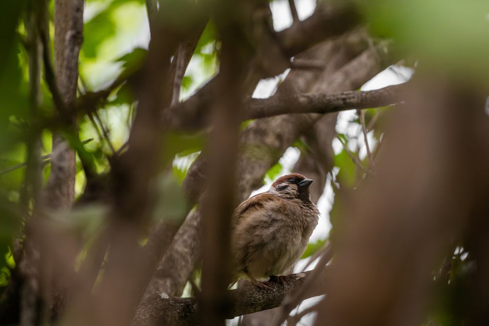 Фотография автора Александр Булавко
