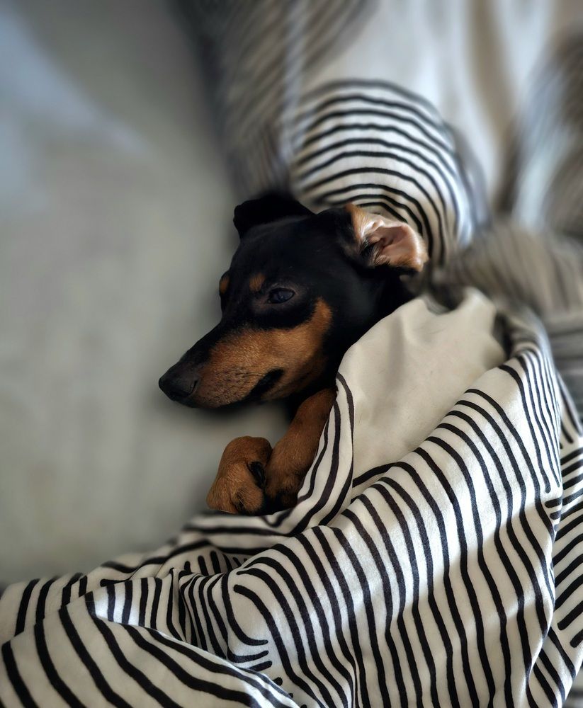 Photograph by Elena Neprosh