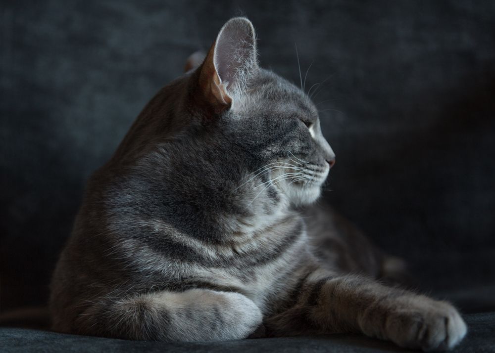 Photograph by Сергей Алексеев