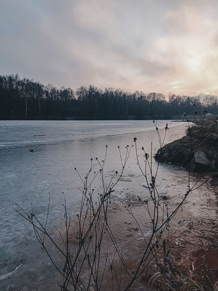 Photograph by Мазымова Елена