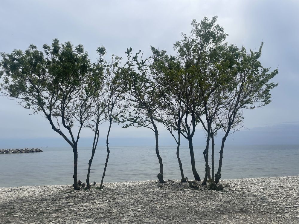 Фотография автора Юлия