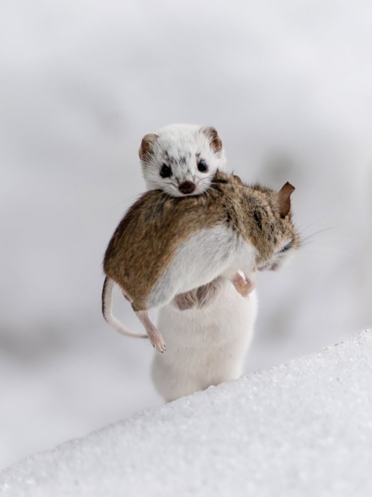 Photograph by Anna Levina