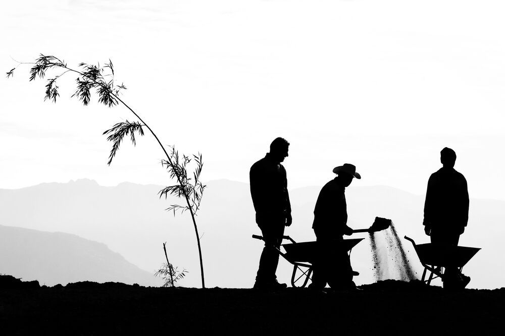 Photograph by Shamal Shakibayi