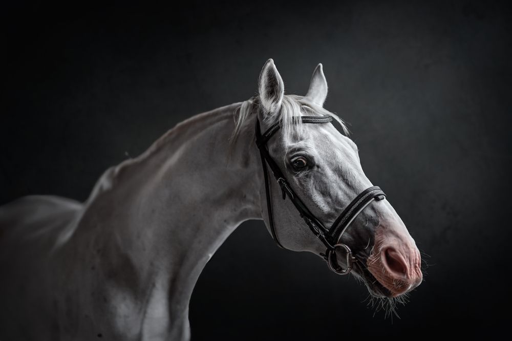 Фотография автора Kasia Kapała