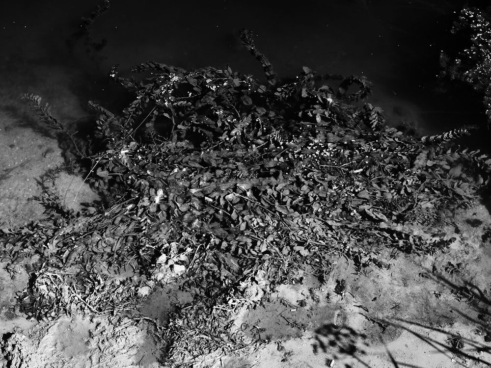 Фотография автора Андрей Янковский