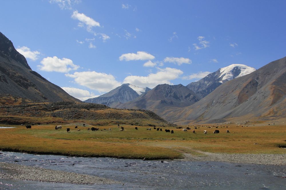 Photograph by Андрей Головин