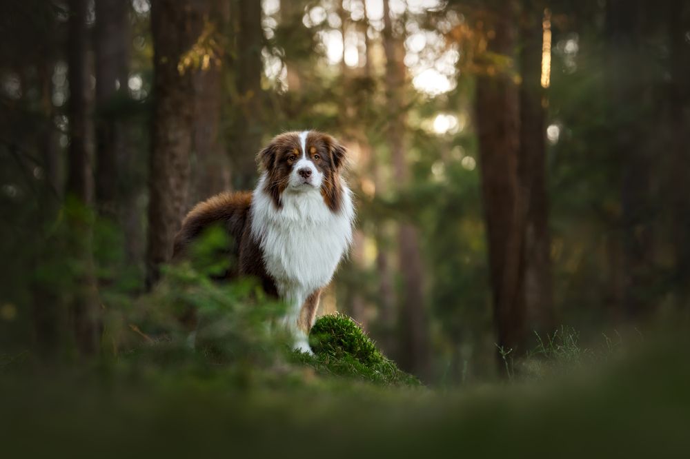 Photograph by Johanna Mehrke