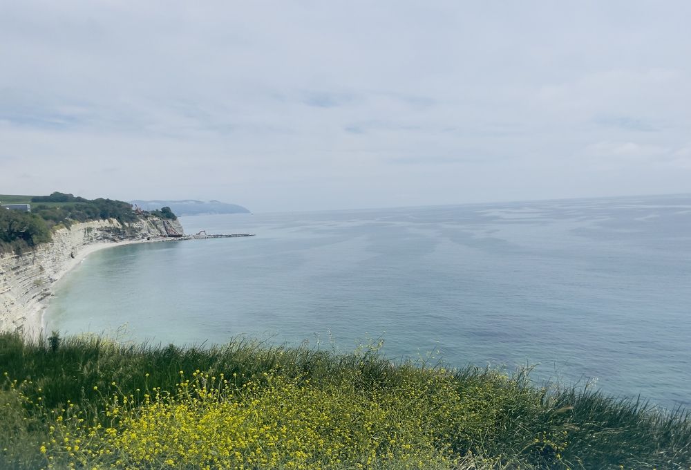 Фотография автора Юлия