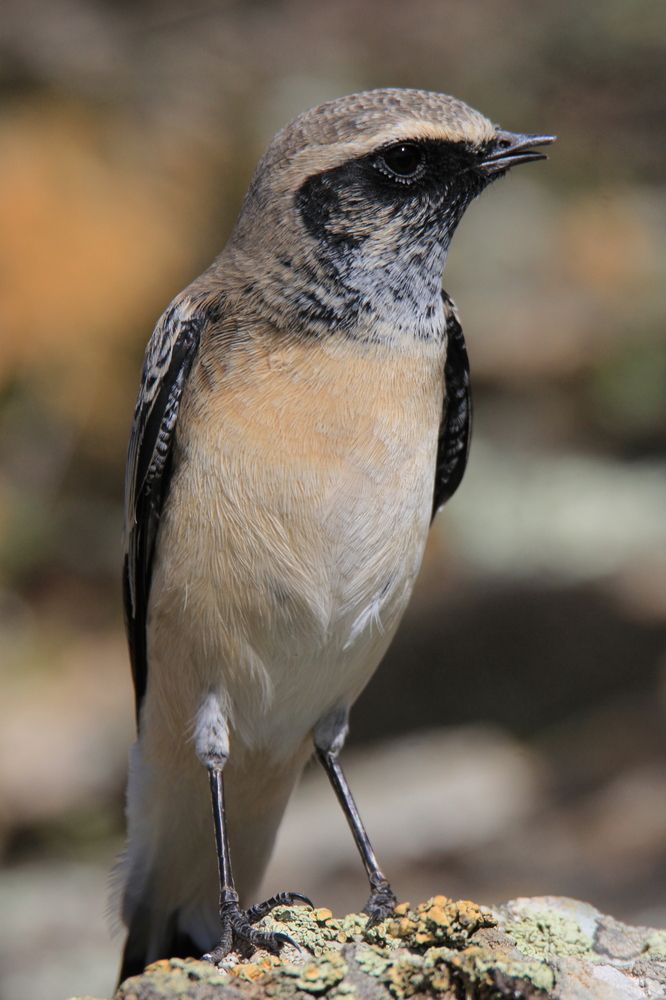 Photograph by Андрей Головин