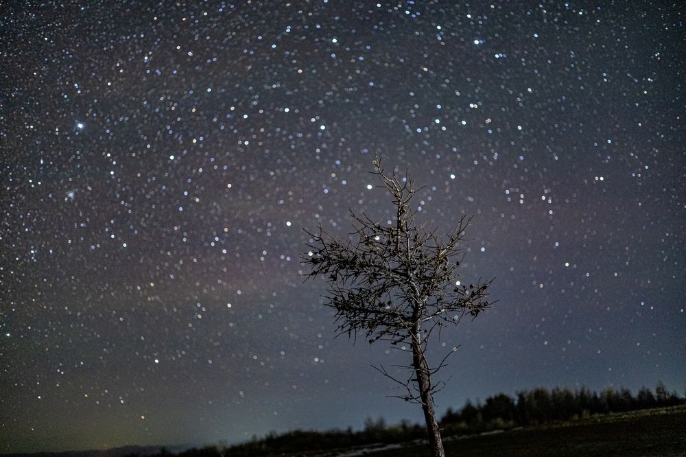 Единочество