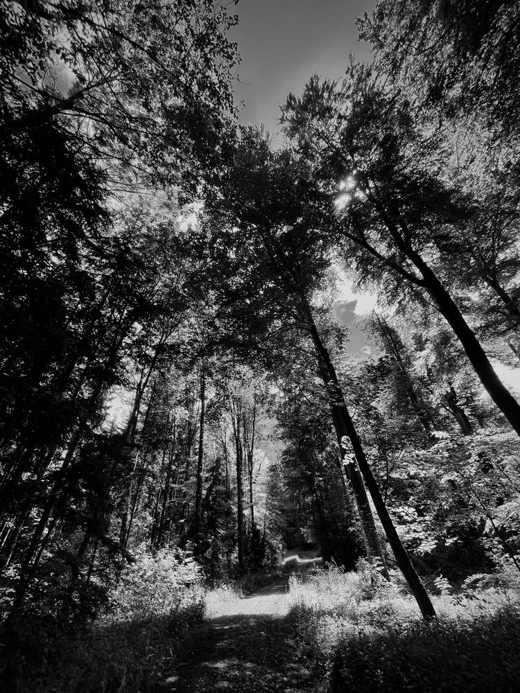 Photograph by Chanceler
