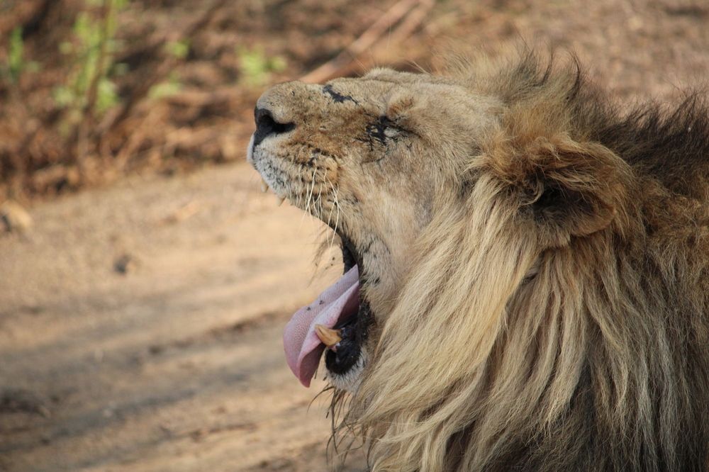 Photograph by Vishwa Trivedi