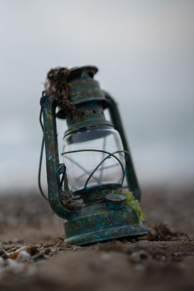 Photograph by Артём Гуцалюк