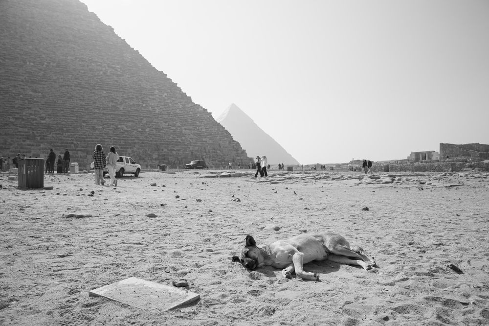 Photograph by Анна Ткаченко