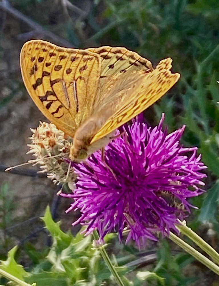 Photograph by Фарида Абакарова