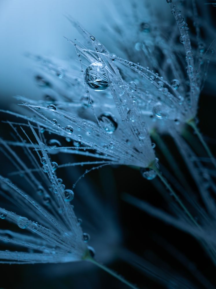 Фотография автора Максим Бессалый