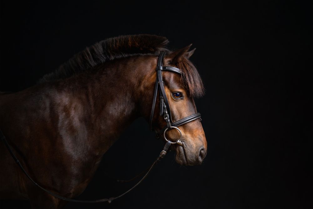 Фотография автора Kasia Kapała