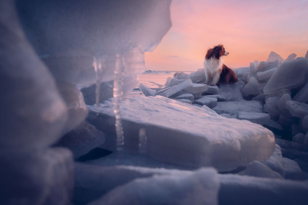 Photograph by Алексей Соколенко