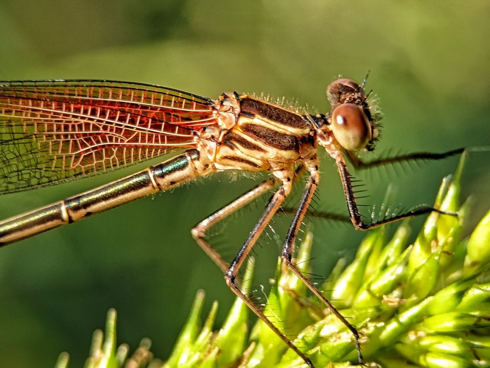 Photograph by bigu *