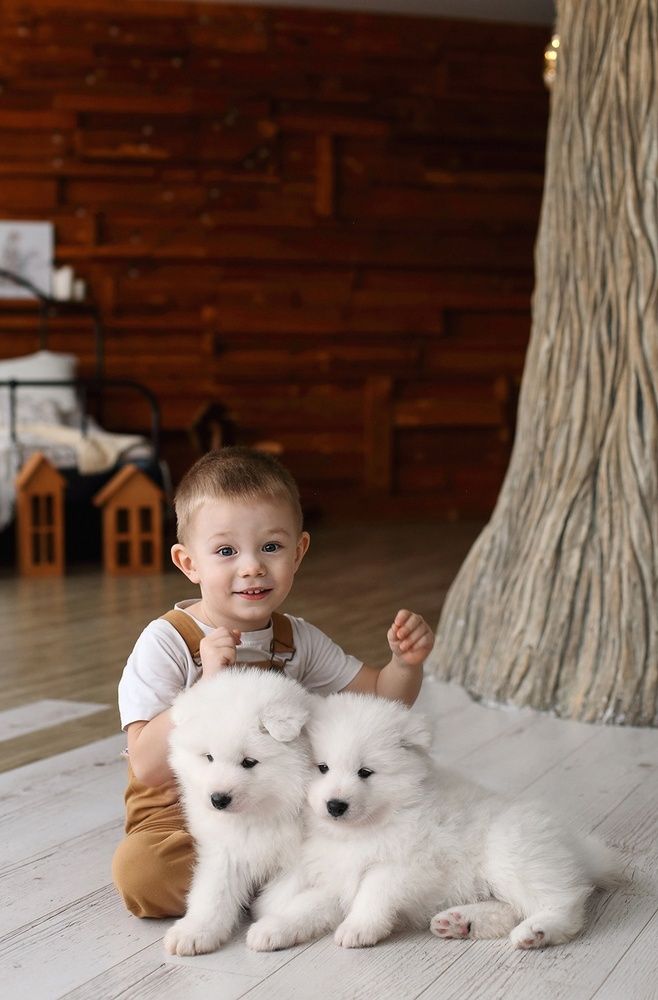 Фотография автора Наталия Евграфова