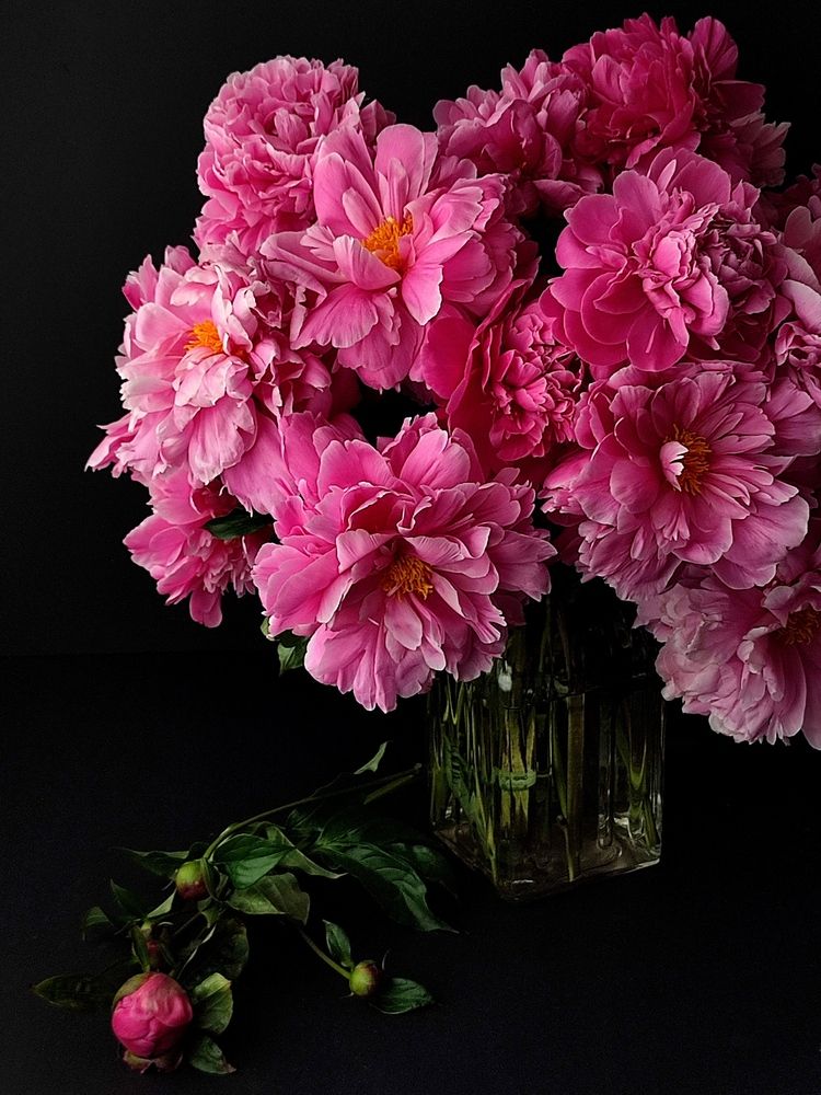 Photograph by Galina Novichkova