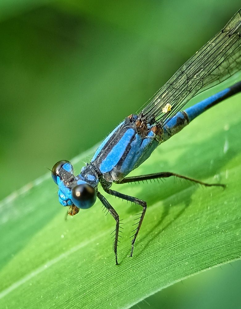 Photograph by bigu *