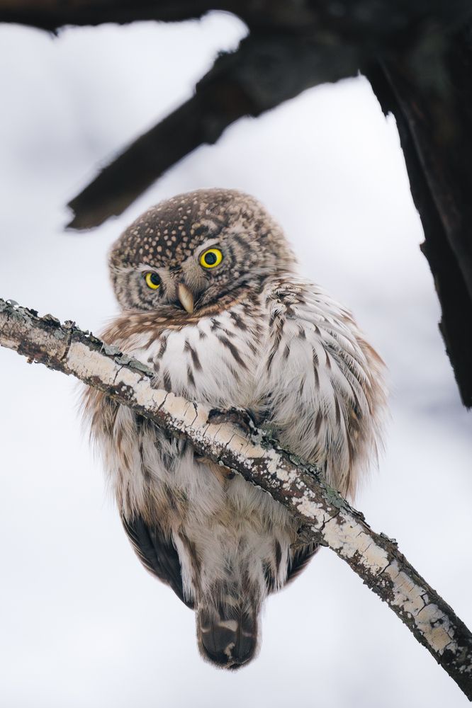 Photograph by Никита Филиппов