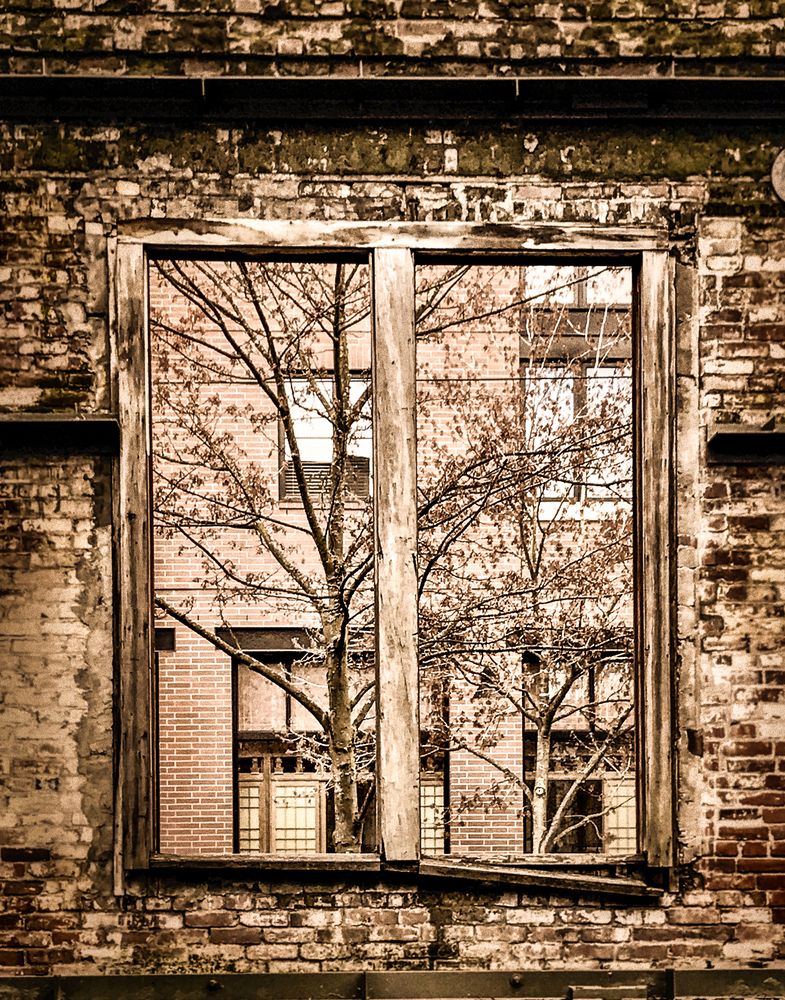 Photograph by Jacquelime Avalos