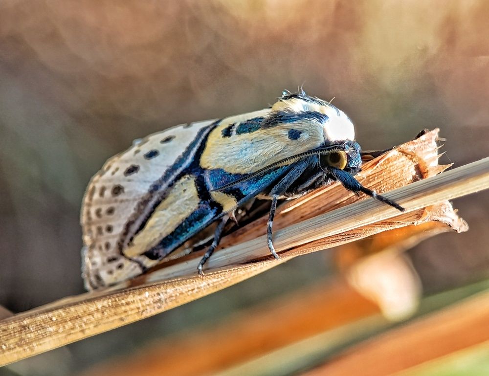 Photograph by bigu *