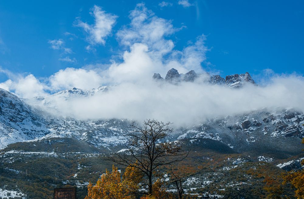 Suddenly Autumn Changes To Winter