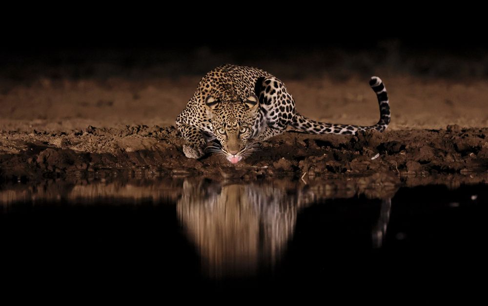 ГЛАЗА В ГЛАЗА