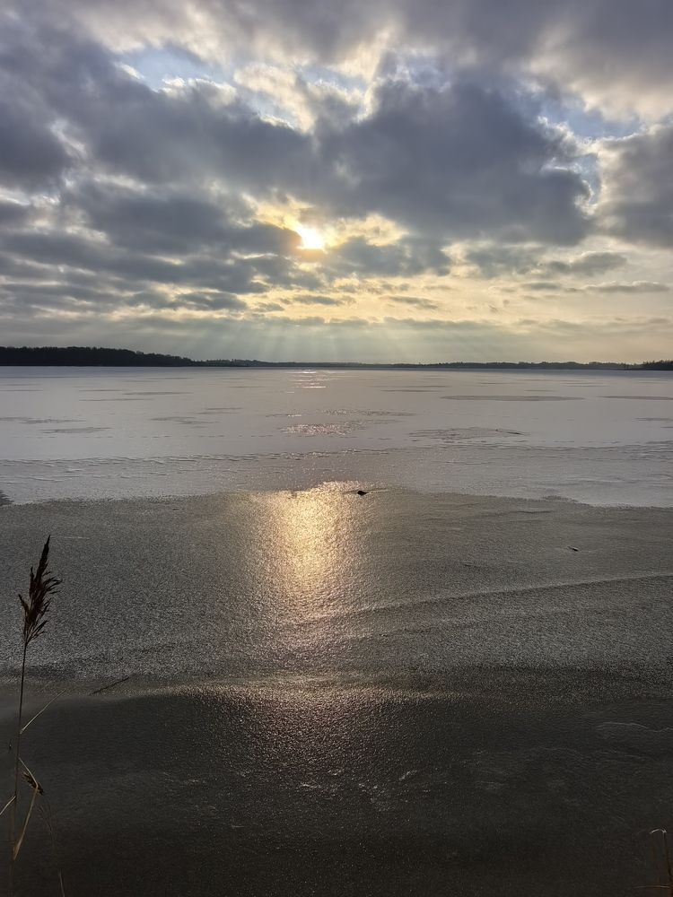 Photograph by Елена